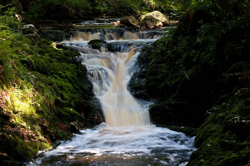 ardennen belgie natuur natuurgebied bos bossen eifel gebergte wandelen fietsen kanoen kasteel hdr hdr